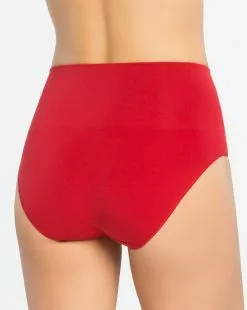 Spanx Everyday Shaping Panties Brief Best Sellers 15 Spanx Everyday Shaping Panties Brief Best Sellers