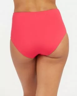 Spanx Classic Swim Brief 13 Spanx Classic Swim Brief