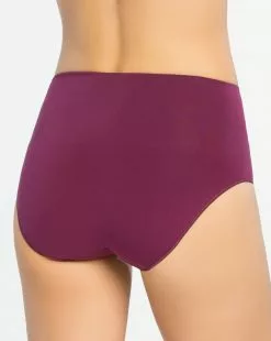 Spanx Everyday Shaping Panties Brief Best Sellers 8 Spanx Everyday Shaping Panties Brief Best Sellers