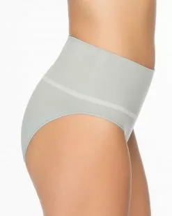 Spanx Everyday Shaping Panties Brief Best Sellers 28 Spanx Everyday Shaping Panties Brief Best Sellers