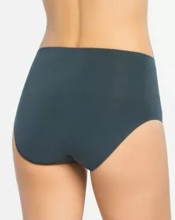 Spanx Everyday Shaping Panties Brief Best Sellers 21 Spanx Everyday Shaping Panties Brief Best Sellers