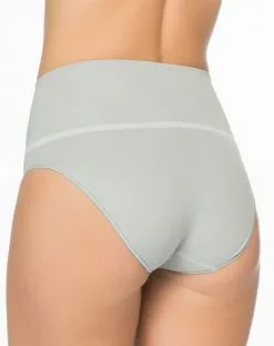 Spanx Everyday Shaping Panties Brief Best Sellers 27 Spanx Everyday Shaping Panties Brief Best Sellers