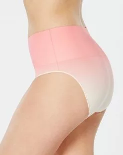 Spanx Everyday Shaping Panties Brief Best Sellers 52 Spanx Everyday Shaping Panties Brief Best Sellers